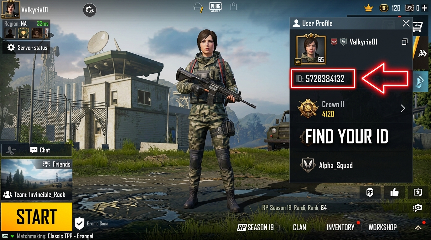 PUBG Player ID Guide